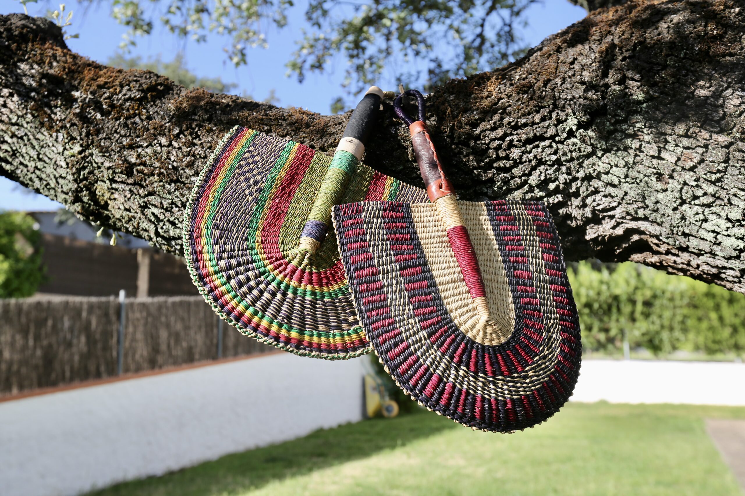 Pai Pai Jacinto - Imagen 3